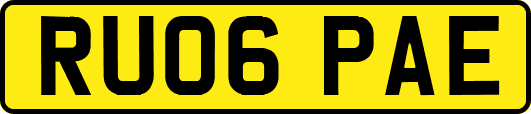 RU06PAE