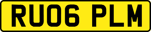 RU06PLM