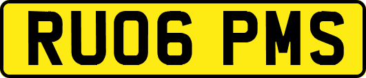 RU06PMS