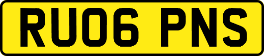 RU06PNS
