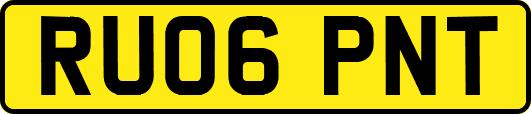 RU06PNT