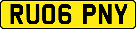 RU06PNY