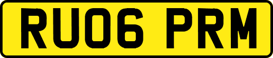 RU06PRM