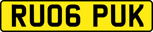 RU06PUK