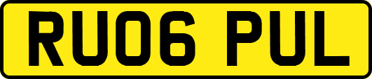 RU06PUL