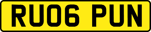 RU06PUN
