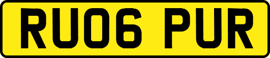 RU06PUR
