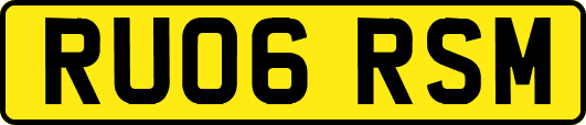 RU06RSM