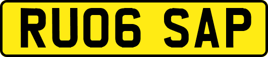 RU06SAP