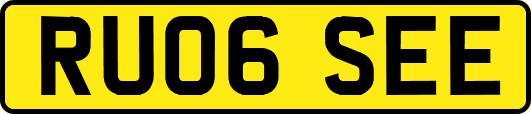 RU06SEE