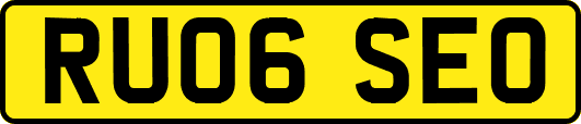 RU06SEO