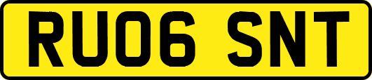 RU06SNT