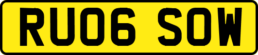 RU06SOW
