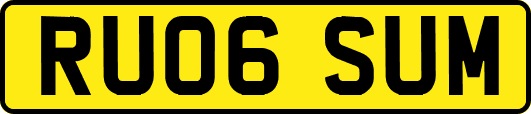 RU06SUM