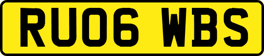 RU06WBS