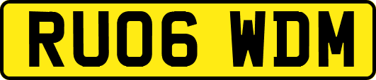 RU06WDM