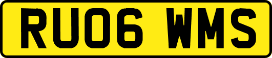 RU06WMS