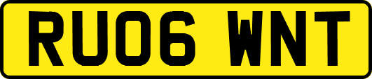 RU06WNT
