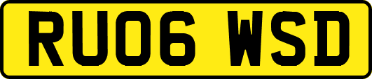 RU06WSD