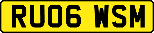 RU06WSM