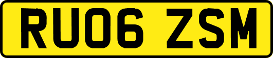 RU06ZSM