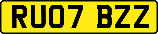 RU07BZZ