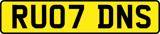 RU07DNS