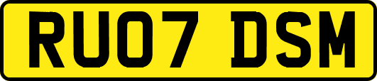 RU07DSM