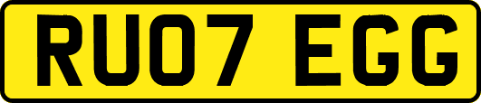 RU07EGG