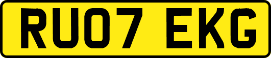 RU07EKG