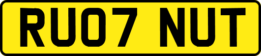 RU07NUT