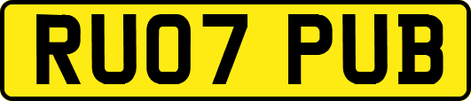 RU07PUB