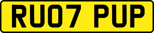 RU07PUP