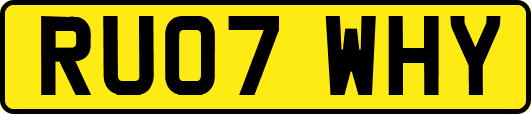 RU07WHY