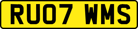 RU07WMS
