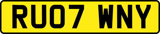 RU07WNY