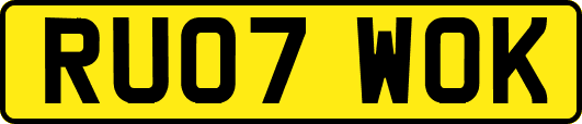 RU07WOK