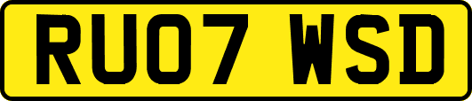 RU07WSD