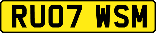 RU07WSM