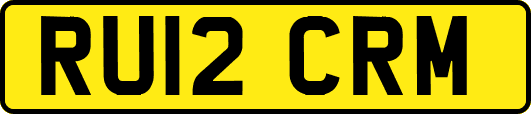 RU12CRM
