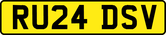 RU24DSV
