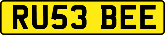 RU53BEE