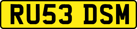 RU53DSM