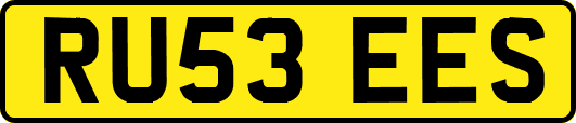 RU53EES