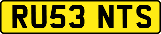 RU53NTS