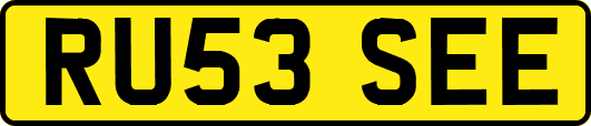 RU53SEE