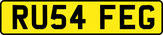 RU54FEG