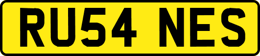 RU54NES