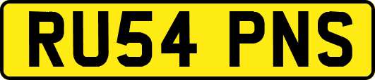 RU54PNS