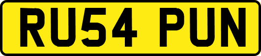 RU54PUN